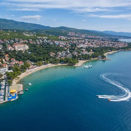 Laura ツリクヴェニツァ